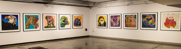 How to Make the Most of University Exhibitions in Africa